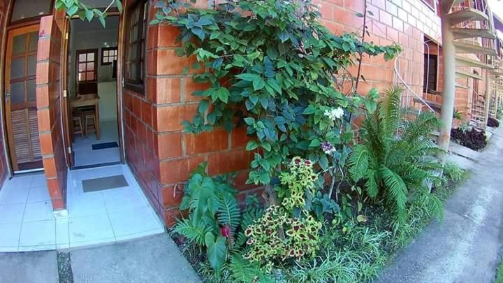 Apt Studio Maranduba Ville 1 Apartment Ubatuba Exterior photo